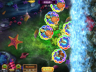 全新平台星力